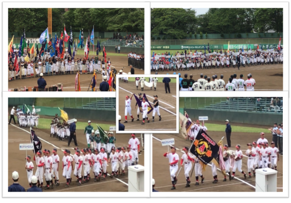 2018年6月【高学年＆低学年】市川市少年野球連盟主催 夏季大会開幕!!